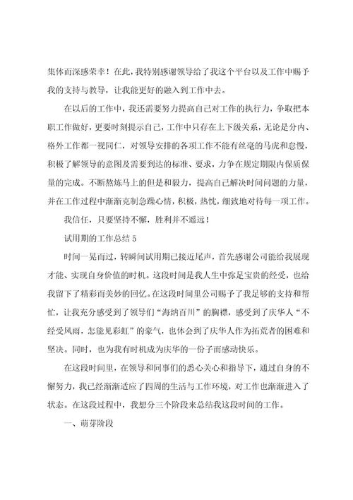 试用期的工作总结（5篇）