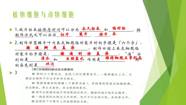 人教版七年级生物上册第一章认识生物第二章认识细胞复习课件(共23张PPT)