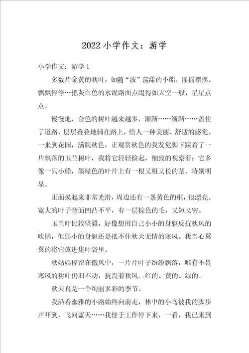 2022小学作文：游学