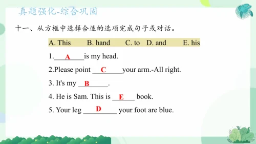 Module 10（复习课件）-2023-2024学年三年级英语上册期末核心考点集训（外研版三起）(