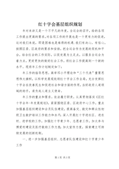 红十字会基层组织规划.docx