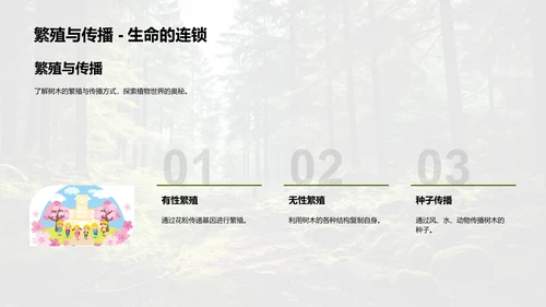 树木的生态密码