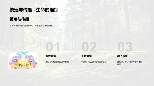 树木的生态密码
