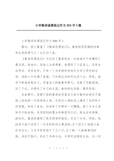 小学鲁滨逊漂流记作文800字5篇.docx