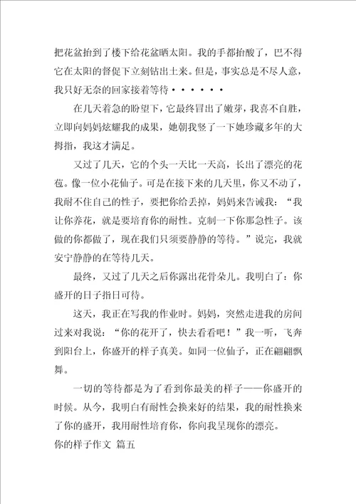 你的样子作文