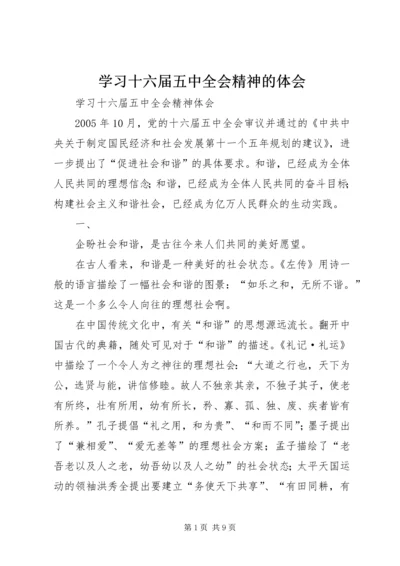 学习十六届五中全会精神的体会 (2).docx