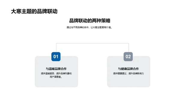 大寒主题传媒运营