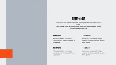 扁平PPT截图说明