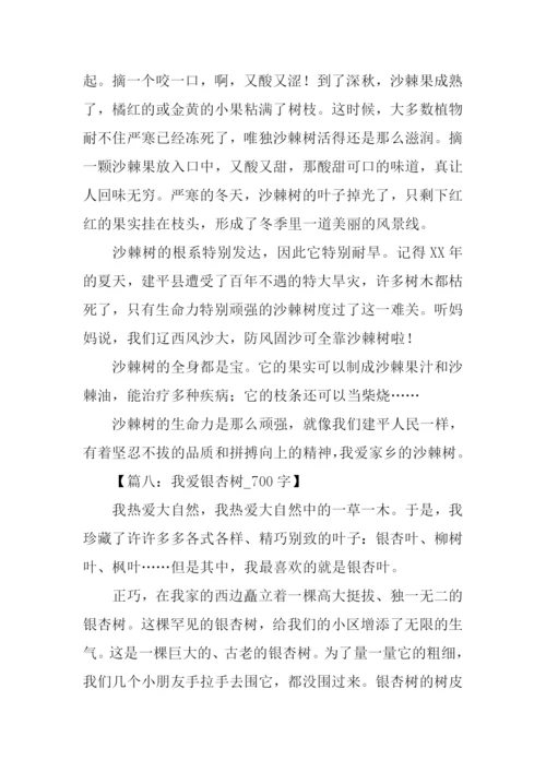 有关树的作文.docx