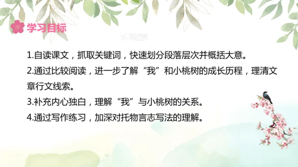 第19课 一棵小桃树 课件(共24张PPT)