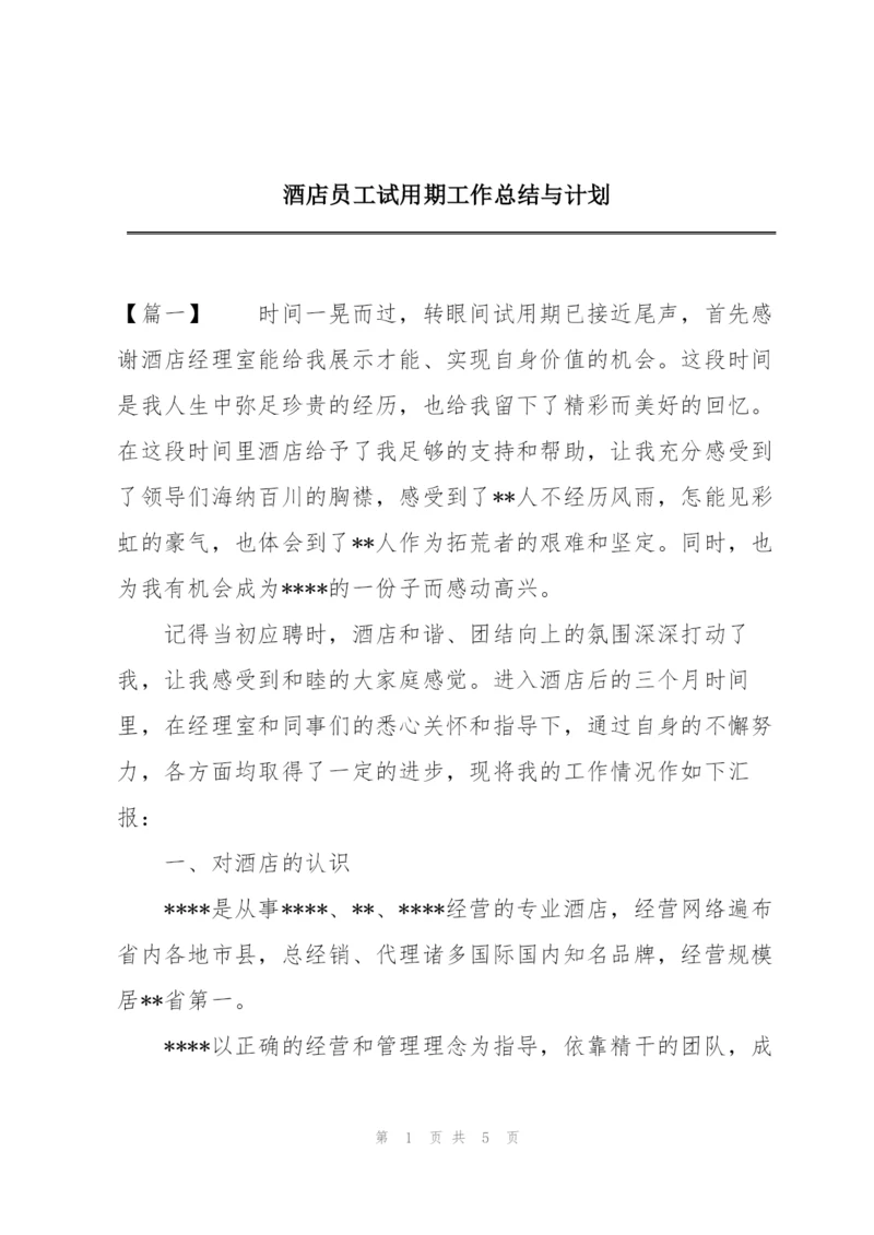 酒店员工试用期工作总结与计划.docx