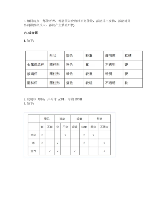 教科版一年级下册科学期末测试卷含完整答案【全国通用】.docx