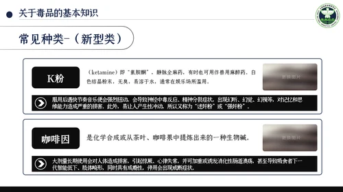国际禁毒日珍爱生命远离禁毒教育知识PPT模板