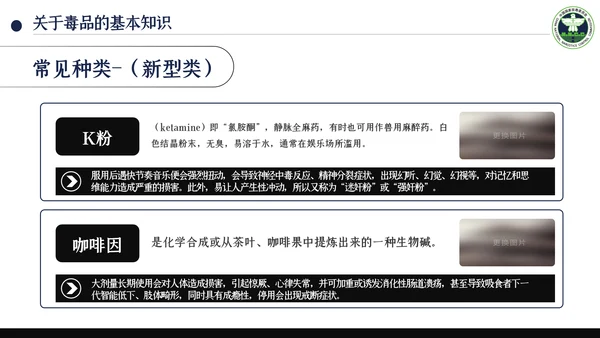 国际禁毒日珍爱生命远离禁毒教育知识PPT模板