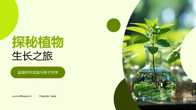 探秘植物生长之旅