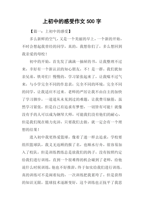上初中的感受作文500字.docx