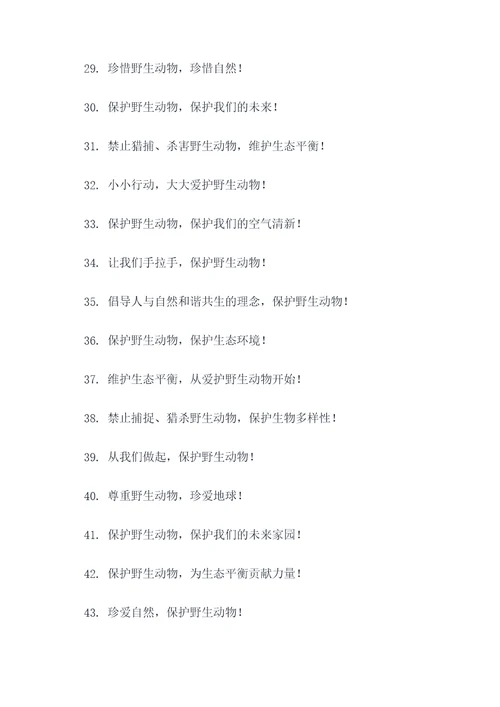 野生动物保护简短口号