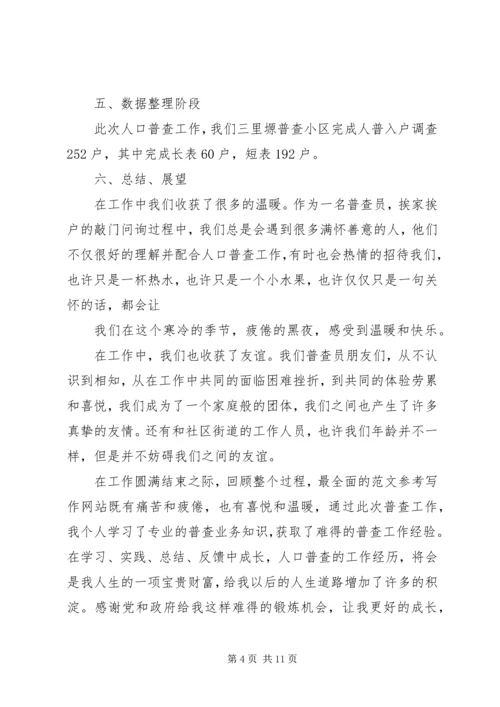 人口普查个人工作总结.docx