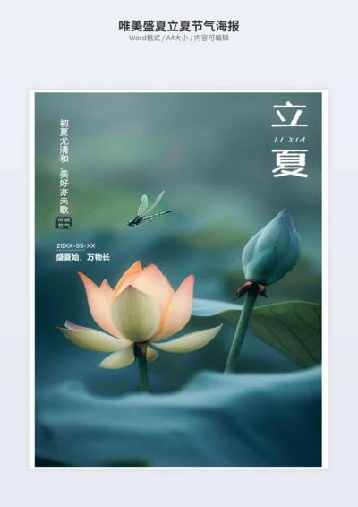 唯美盛夏立夏节气海报