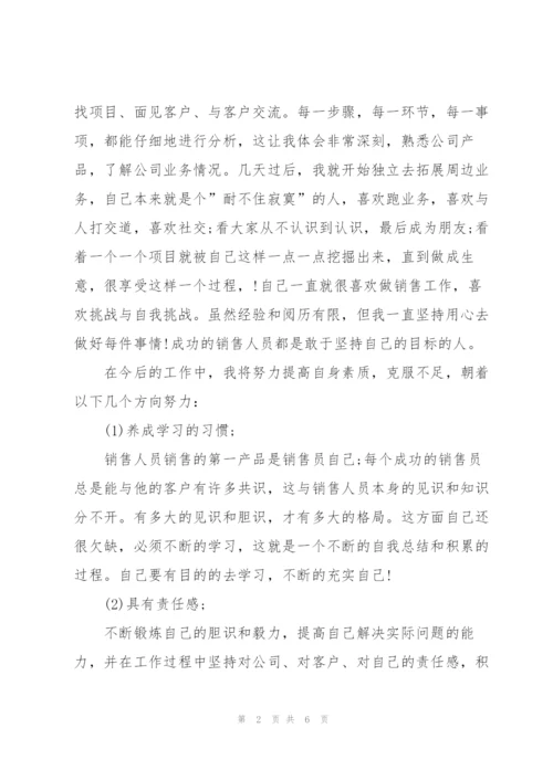 销售人员个人月度工作总结.docx