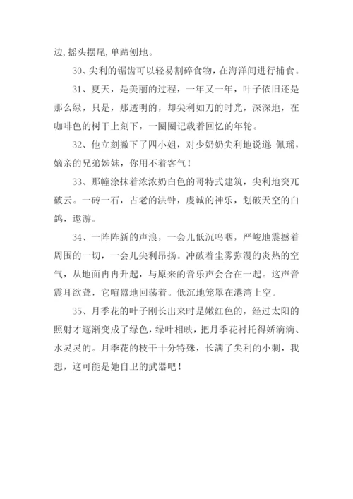 尖利的近义词.docx