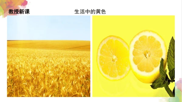 第七课《黄色和蓝色的画》课件