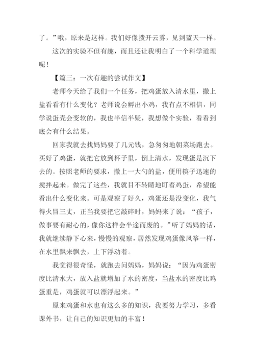 一次有趣的实验作文400字.docx