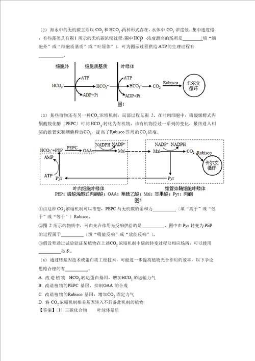 2023年辽宁高考生物试卷及答案