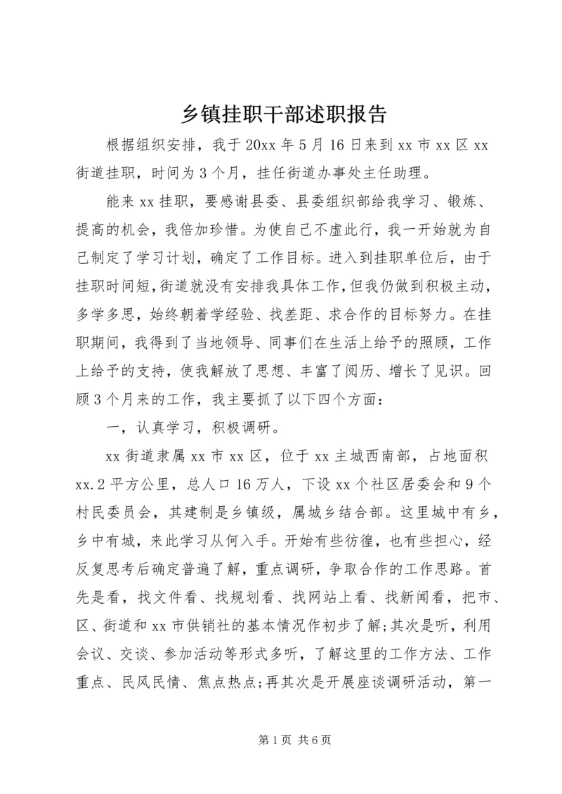 乡镇挂职干部述职报告.docx