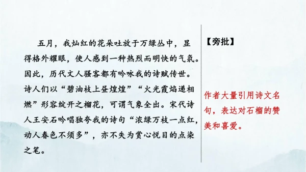 统编版语文八年级下册第二单元写作《说明的顺序》课件(共49张PPT)