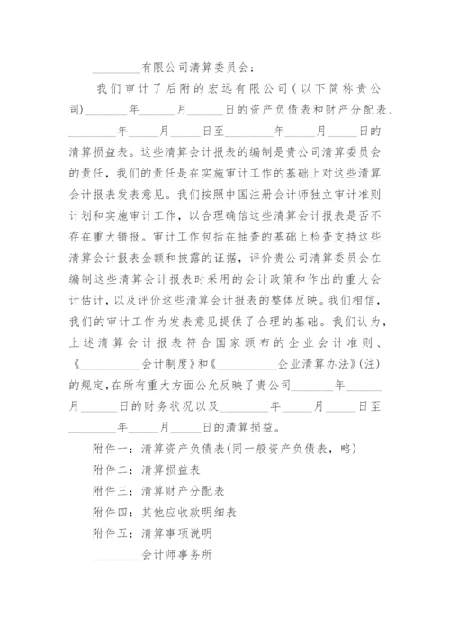 破产审计报告.docx