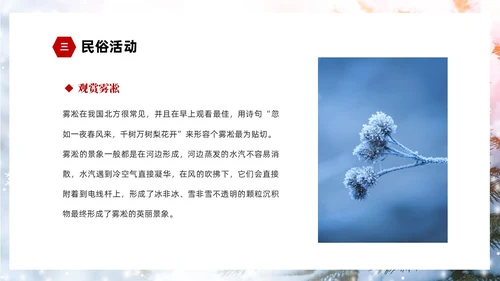 白色简约实拍雪景中国传统节气大雪节气介绍PPT