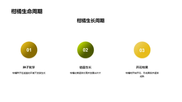 柑橘产业赋能：挑战与战略