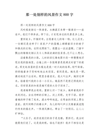 那一处别样的风景作文800字.docx