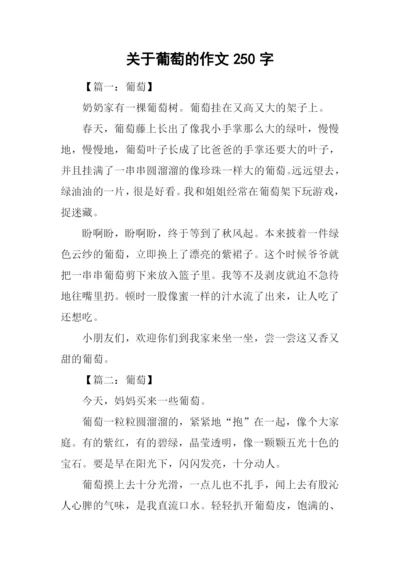 关于葡萄的作文250字.docx