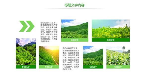 绿色唯美茶园艺术品茶文化茶园PPT模板