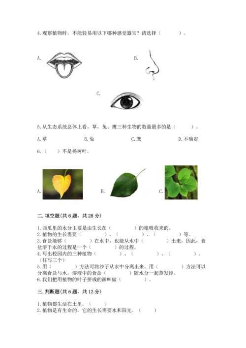 教科版科学一年级上册第一单元《植物》测试卷及参考答案【完整版】.docx