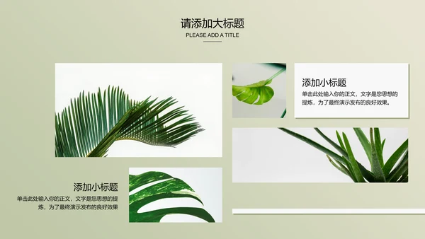 浅绿色极简光影小清新通用PPT演示模板