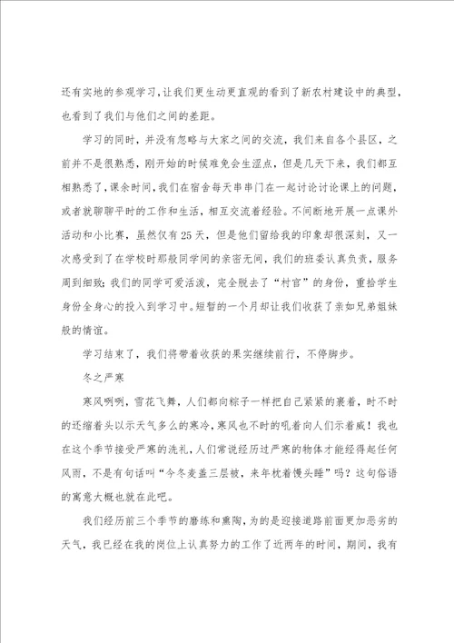 大学生村官学习总结