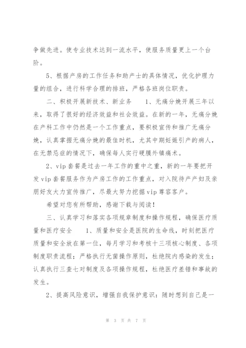 20XX年医院产科工作计划范文.docx