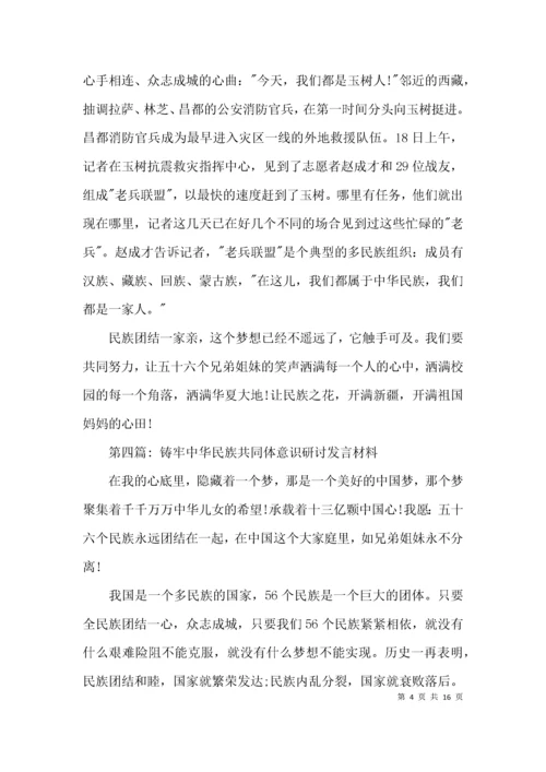 铸牢中华民族共同体意识研讨发言材料【十一篇】.docx