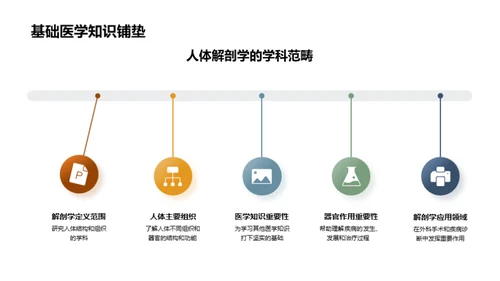 探索解剖学魅力