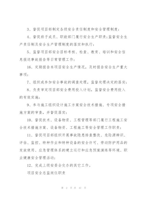 总监工作计划15篇.docx