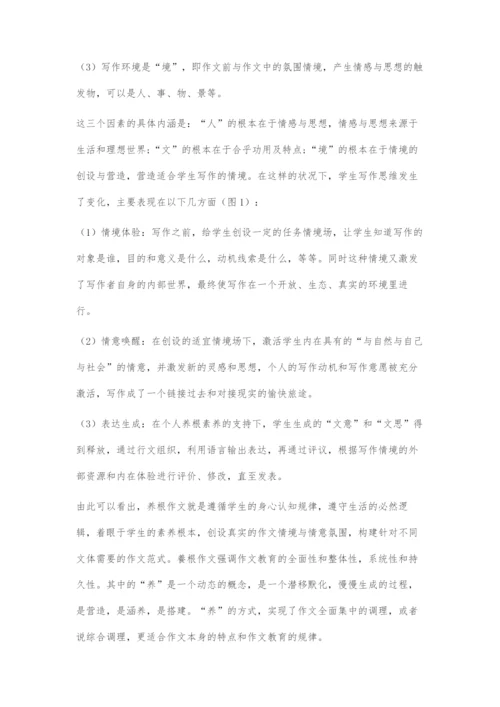 养根作文：探索统编教材作文课堂新范式.docx