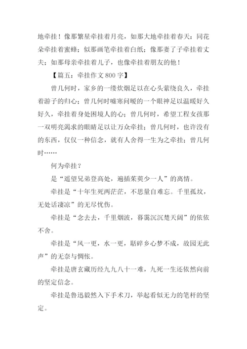 牵挂作文800字0.docx