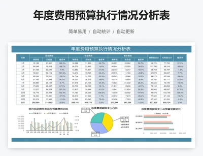 年度费用预算执行情况分析表