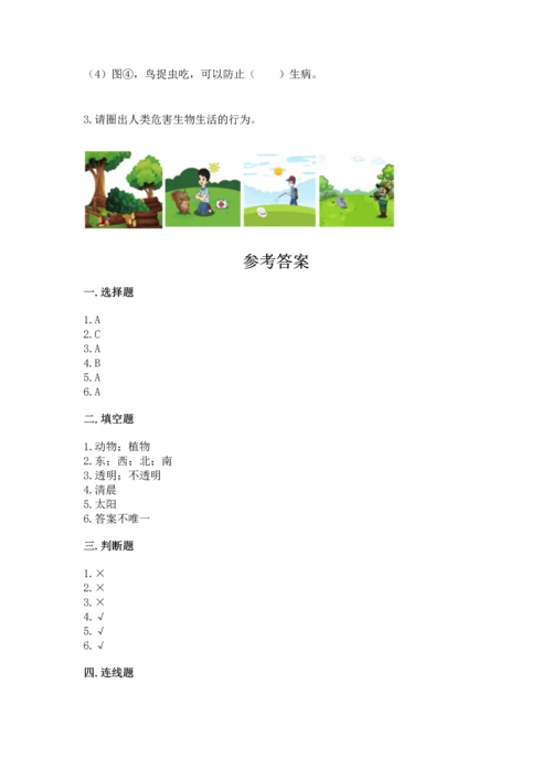 教科版二年级上册科学期末测试卷精品【夺冠系列】.docx