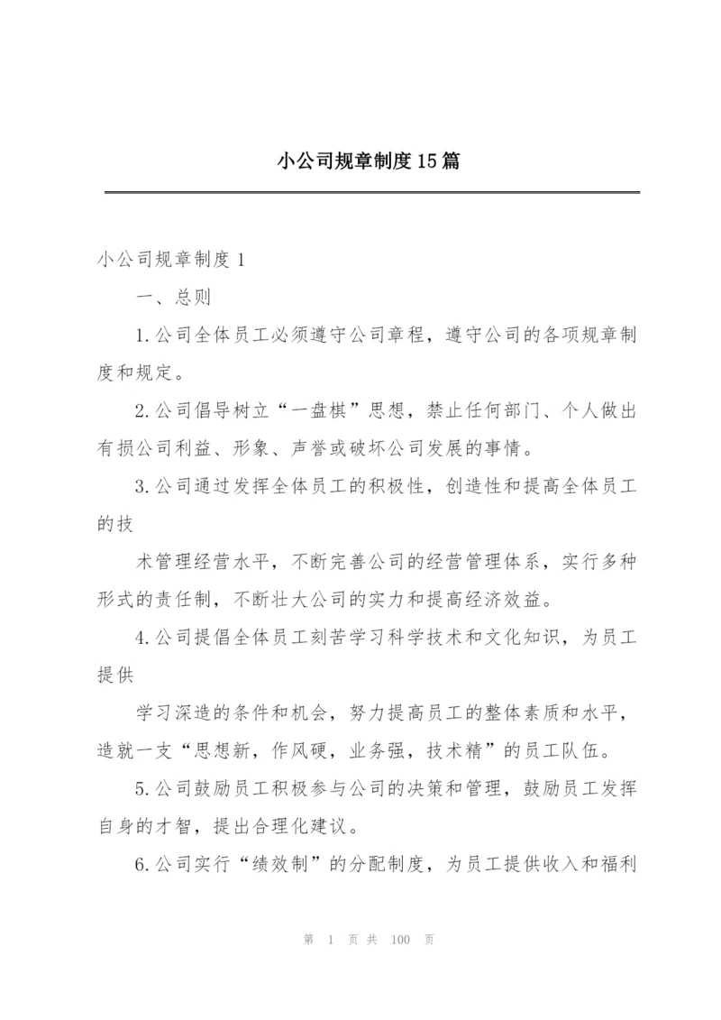小公司规章制度15篇.docx