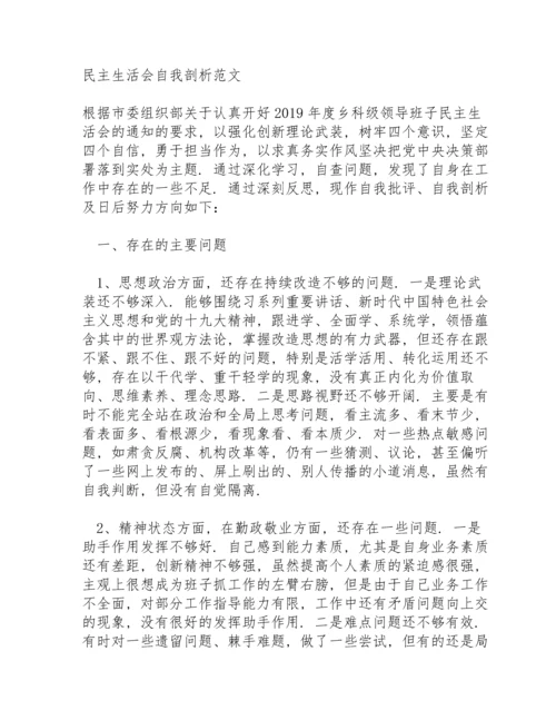 民主生活会自我剖析范文.docx