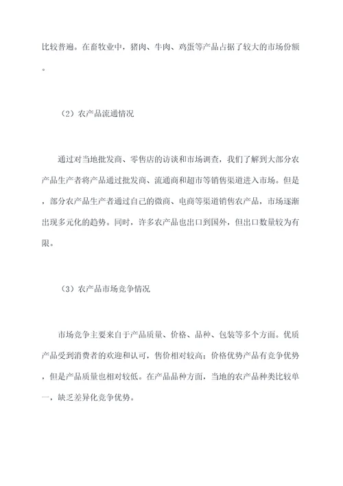 去某个地方的调研报告